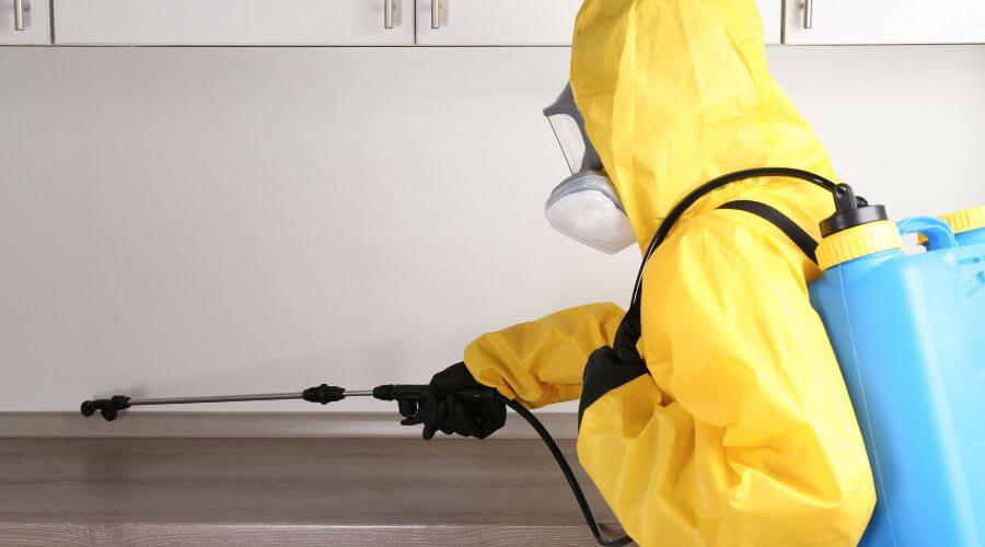 Professional quarterly pest control services in Emporia - Quarterly Pest Control Emporia